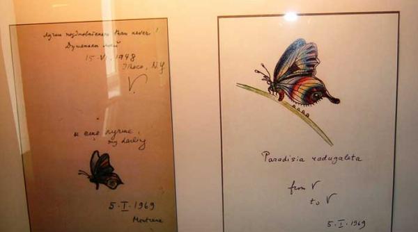 administratorul fluturilor