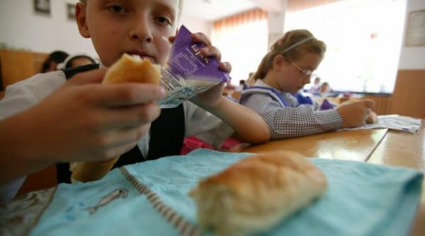 cornul si laptele oferite de guvern numai bune de hranit porcii din gospodarii