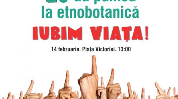 radio zu vs magazinele de vise