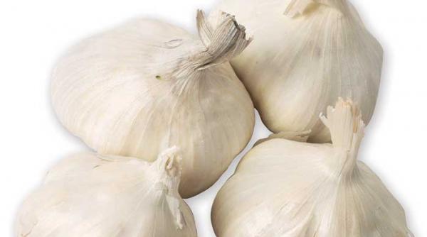 ceaiurile si usturoiul normalizeaza colesterolul