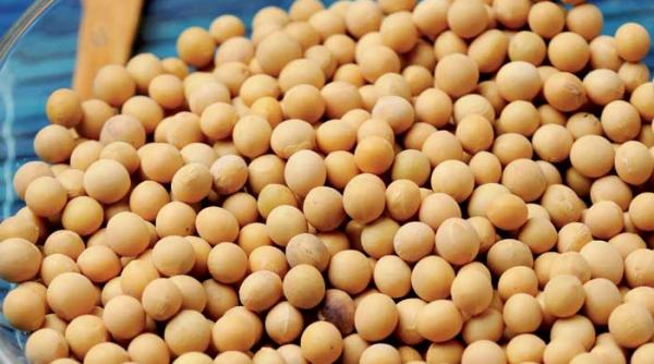 soia cultura miracol a vechilor chinezi