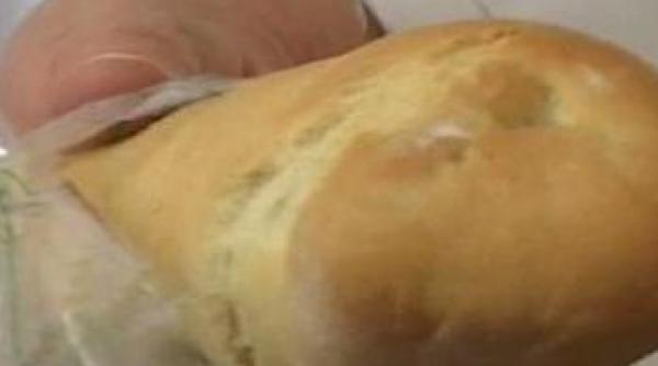 cornuri muscate de soareci la o scoala din deva