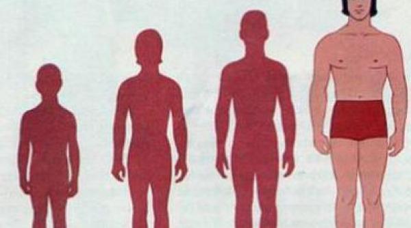 romanii au crescut cu 6 centimetri in inaltime in ultimii 30 de ani