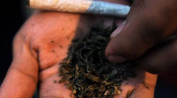 magazin cu etnobotanice deschis langa un centru de dezintoxicare