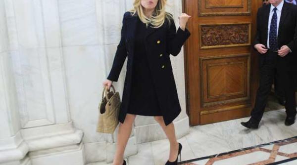 pdl a inceput sa strige jos boc