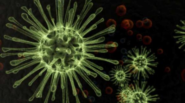 ipoteza virusul aduce diabetul zaharat tip 1