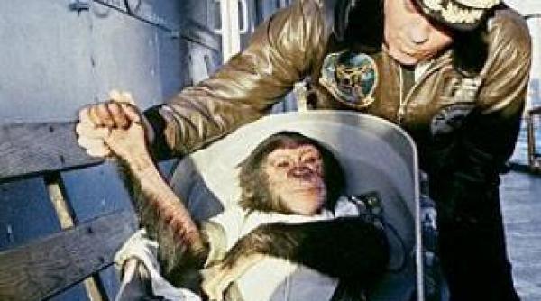 ham primul cimpanzeu care a ajuns in spatiu