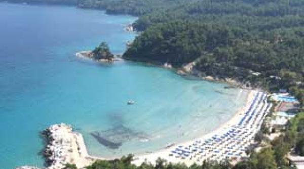 abilitate posibilitate si animale vii