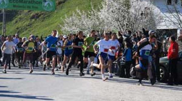 haine inteligente moft sau necesitate in sport