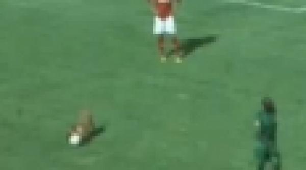 video un caine politist a intrerupt un meci in brazilia