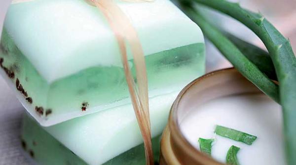 fara riduri cu avocado si aloe