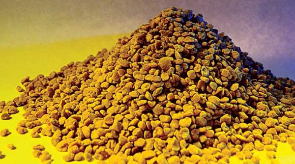 polenul face bine la memorie