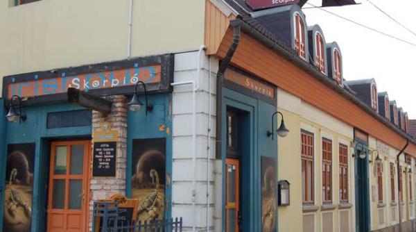 cazul cozma fratii beery sunt autorii morali ai crimei