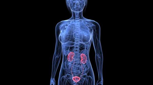 cand infectiile urinare nu sunt ceea ce par