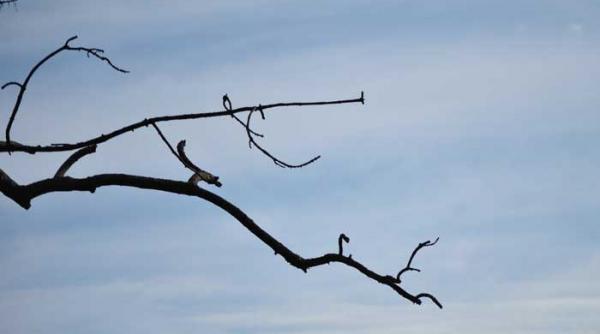 ba un crac ba o craca