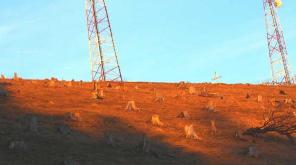 ecologia se ia de pe fotoliul de ministru