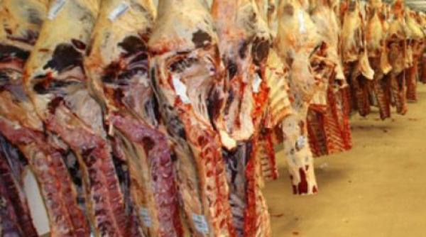 descinderi la un depozit de carne din capitala inspectorii au sigilat peste 1 500 de tone de carne
