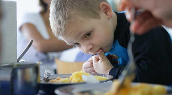 guvernul minte cu nerusinare parlamentul european