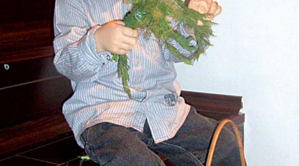 minestrone darul naturii