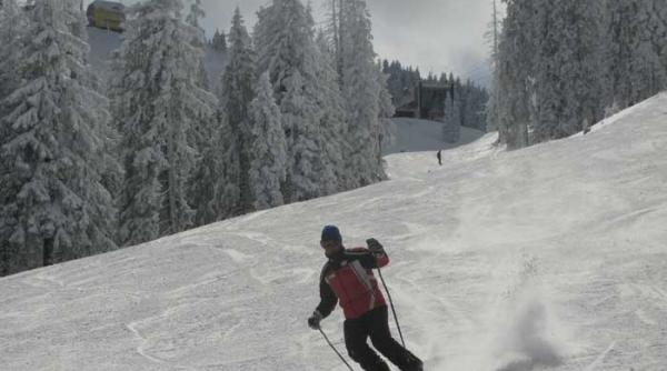 tichie de margaritar