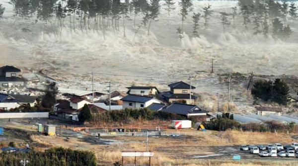 hakodate fantoma unui port