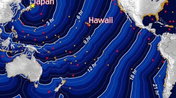 tsunami ul a lovit hawaii