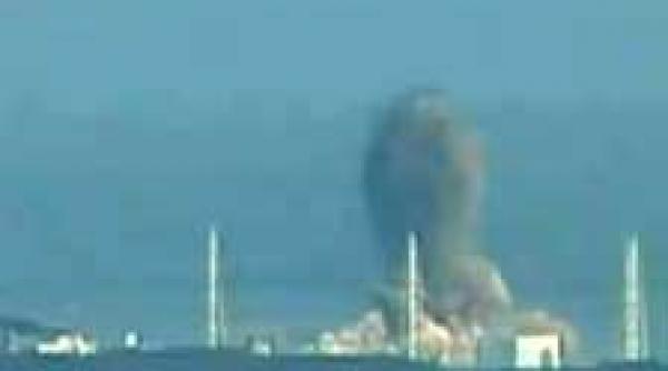 hidra nipona cu doua capete