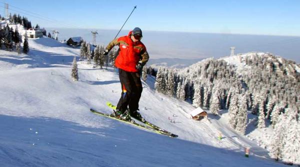 schiu paru postavaru