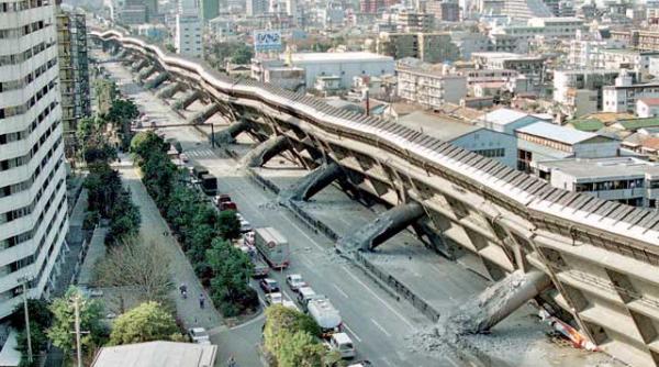 japonia cu doliu la rever