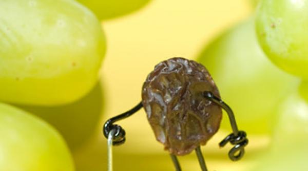 viata secreta a obiectelor de zi cu zi in viziunea unui artist plastic