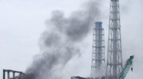 lupta pentru fukushima