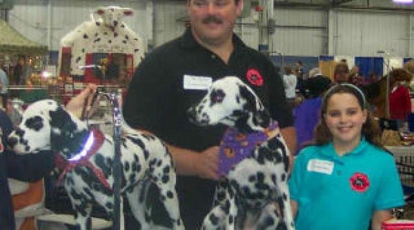 targul dedicat animalelor de companie petexpo 2011 la cea de a treia editie