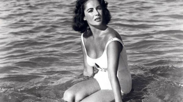elizabeth taylor o viata in lumina reflectoarelor