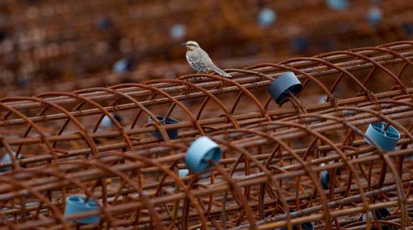 ghid cum sa gonesti investitorii cu taxele de constructii si birocratia