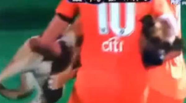 video un caine lup a intrerupt un meci de fotbal feminin