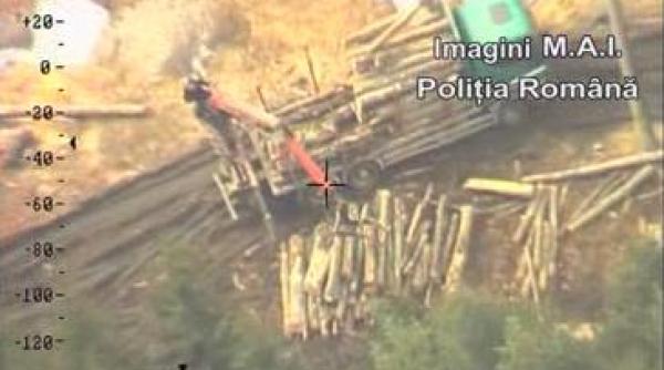 cu elicopterul dupa hotii de lemne din arges dosare penale la toata lumea