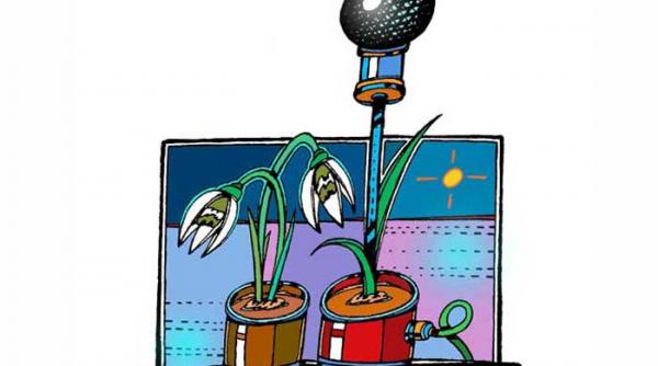 au dat urzicile nu mai murim