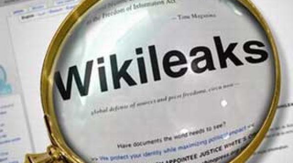 monica macovei colaborator vechi al ambasadei sua