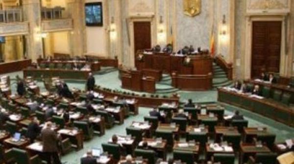 reprezentanti ai cncan si nuclearelectrica audiati la senat