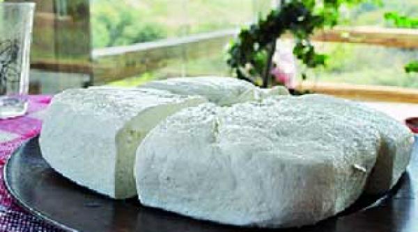 petroto un record de guinness book