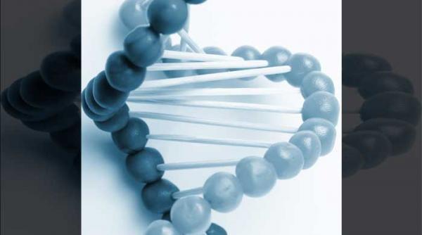 terapii celulare si terapii individuale