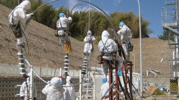 the independent sinucigasii de la fukushima platiti regeste