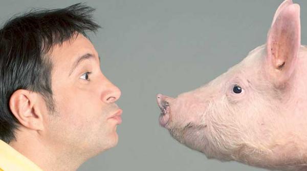 daniel buzdugan campionul farselor