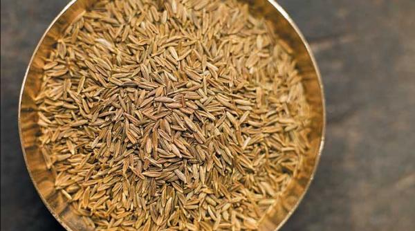 chimenul medicamentul sfant