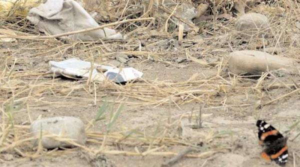 indeplinesti criteriile esti roman