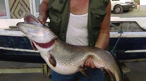 incepe prohibitia la pescuit