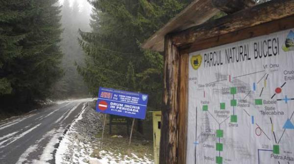 drumul babelor nascut din inconstienta