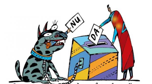 cum se pot castiga alegeri care par pierdute sugestii pentru pdl