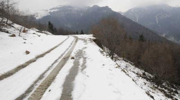 drumul babelor distruge biodiversitatea