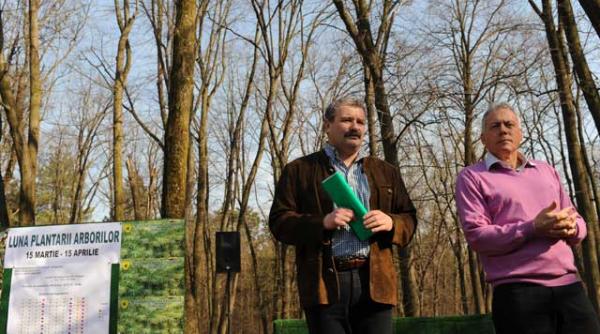 drumul babelor da unda verde la afaceri imobiliare